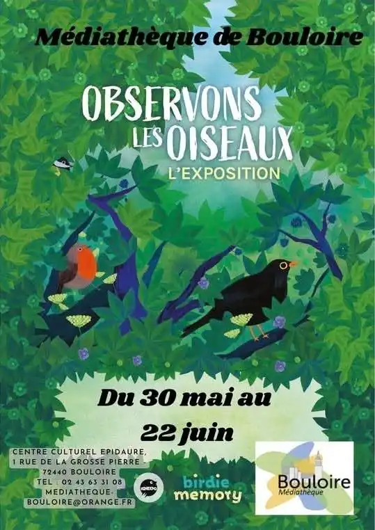 Jusqu'au 22 Juin 2026_Expo Médiathèque_Observons les oiseaux